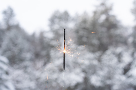 Winter landscape with sparkler on foreground of the snow in the pine forest., a Background Photo by andreonegin market