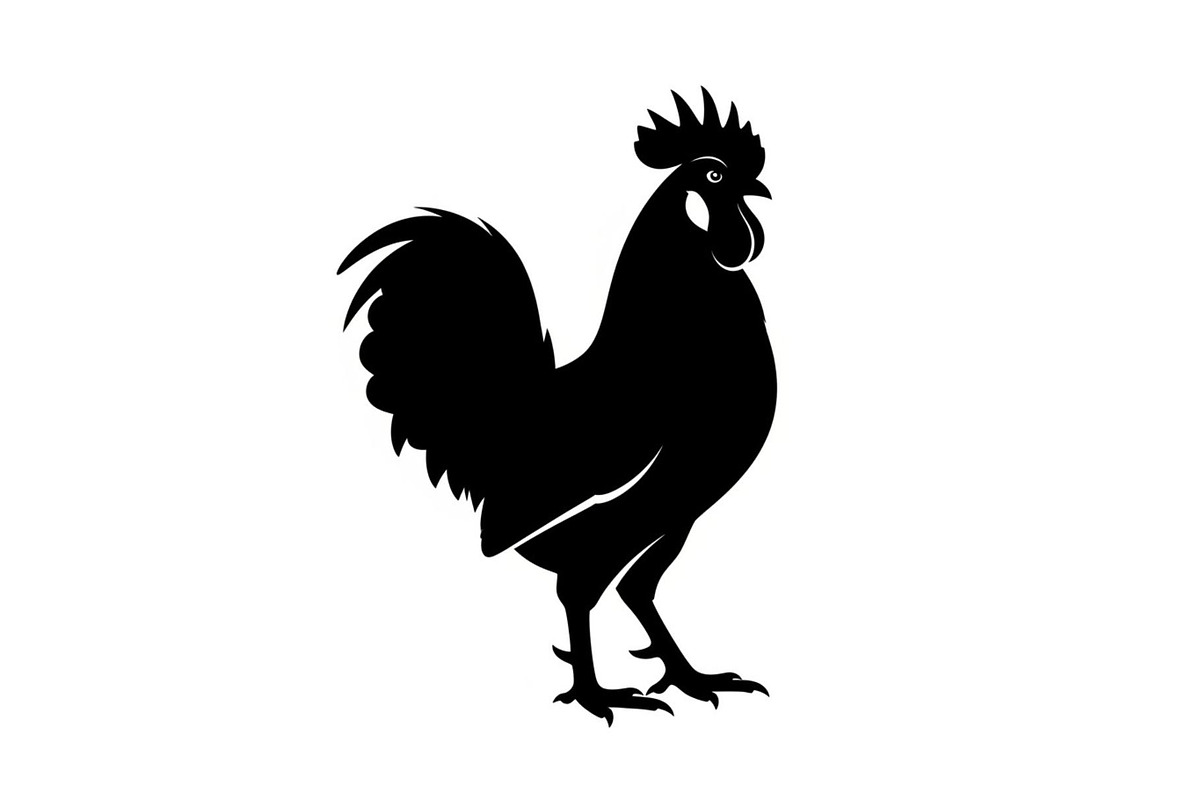 Rooster Chicken Silhouette Bundle, an Illustration by Designs_River (Photo 23 of 51)