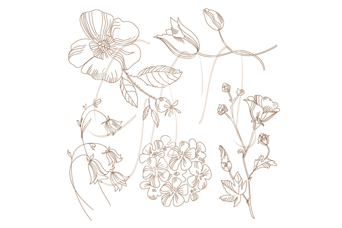 Flower Designs papers vintage style, an Illustration by GraphicMarket (Photo 3 of 5)