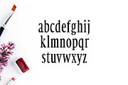 Orrick Slab Serif Font Family, a Slab Serif Font by Creativetacos (Thumbnail 3 of 5)