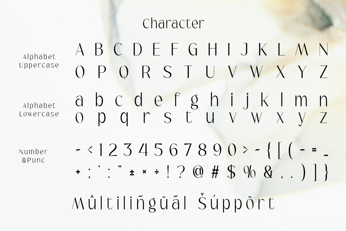 Serina - Modern Elegant Logo Font, a Sans Serif Font by roomspace creative lab (Photo 10 of 11)