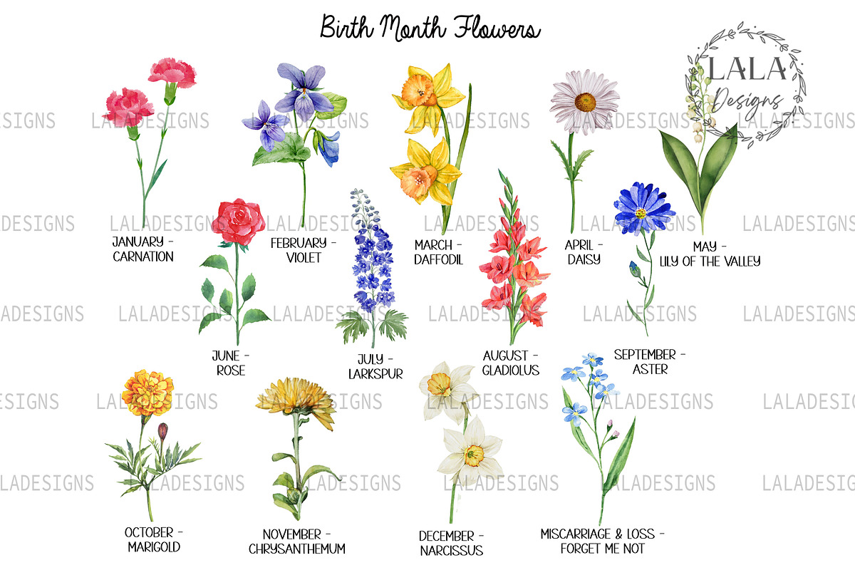Great Grandma's Garden Png, a Graphic by LALADesigns (Photo 2 of 2)