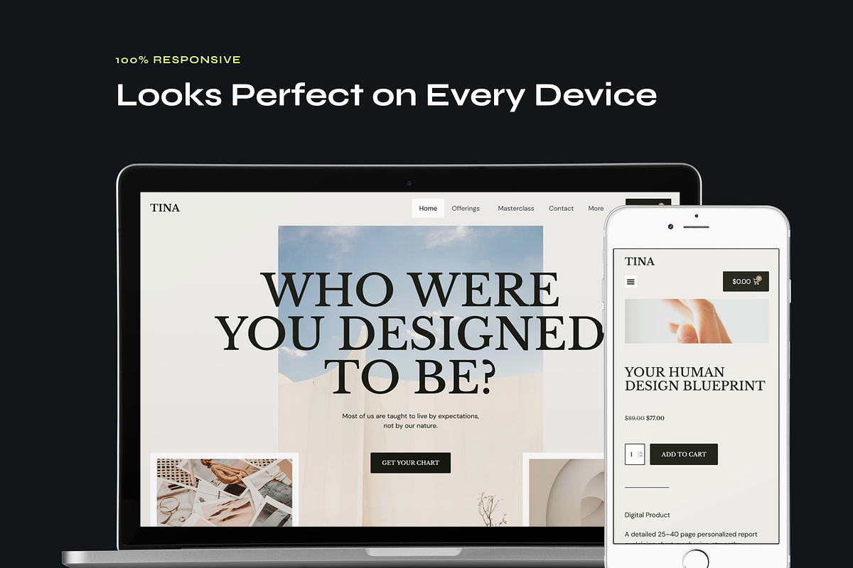 Human Design Website Template, a WordPress Template by Awakened Templates (Photo 2 of 6)