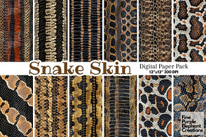 Snake Skin Scales Texture Reptile