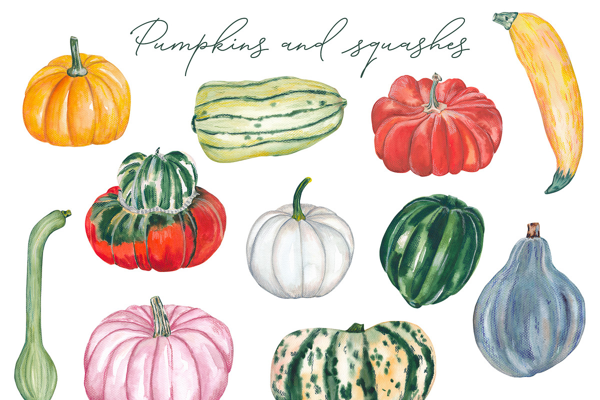 Watercolor Autumn Hand-drawn Clipart, a Seasonal Illustration by Visual Animal (Photo 3 of 5)