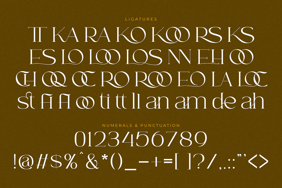 Ronners | An Elegant Serif Font, a Sans Serif Font by Andrimada Creative (Photo 12 of 14)