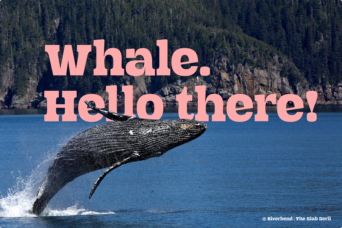 Riverbend, a Slab Serif Font by Xelo Graph (Photo 2 of 7)
