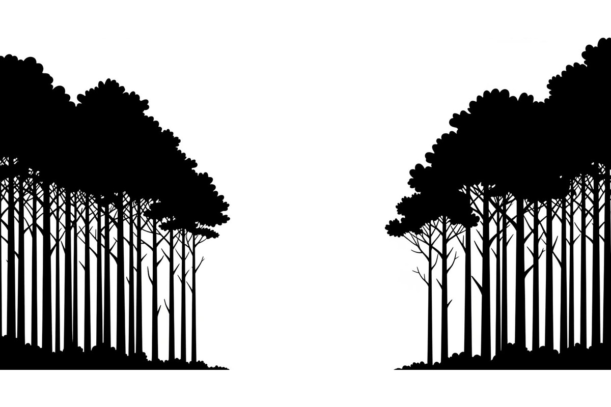 Forest Frame Silhouette SVG Bundle, an Illustration by jahid234 (Photo 6 of 51)