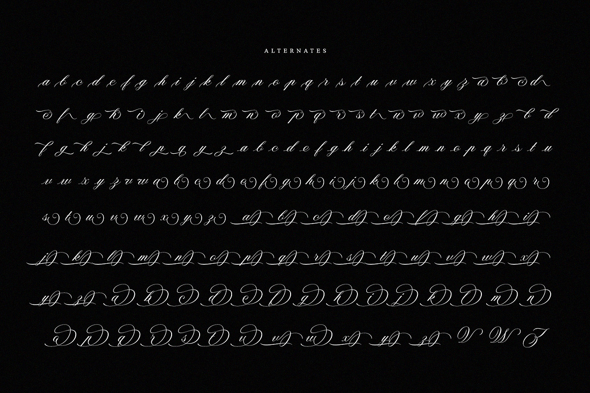 Nightshade – Elegant Calligraphy, a Script Font by Krismagraph (Photo 10 of 10)