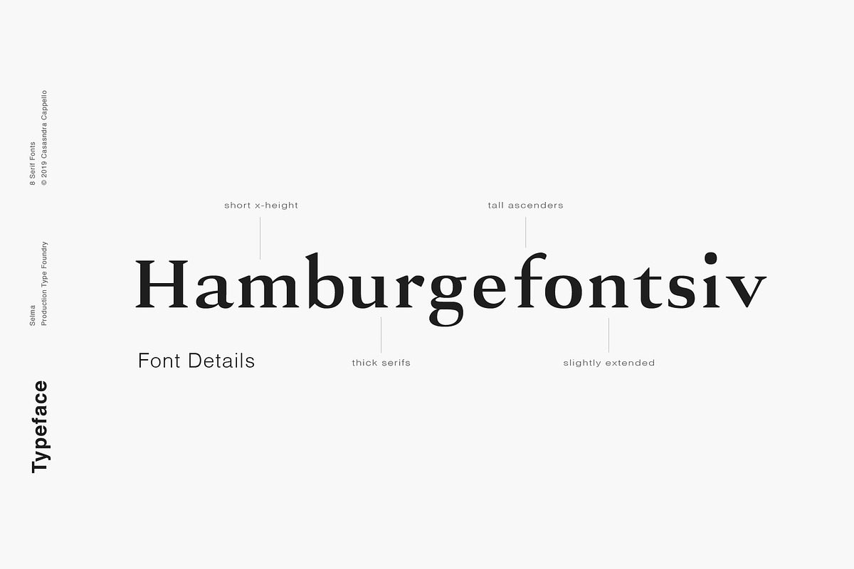 Selma - A Classy Serif Typeface preview 3