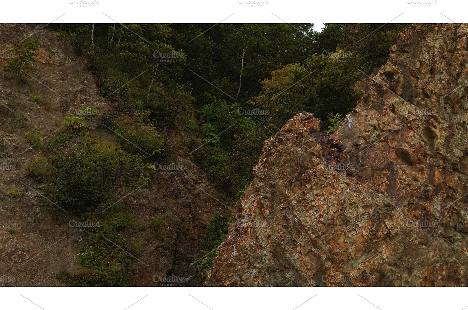 Top view of rocky ridge with forest, a Nature Photo by Media Whale Stock