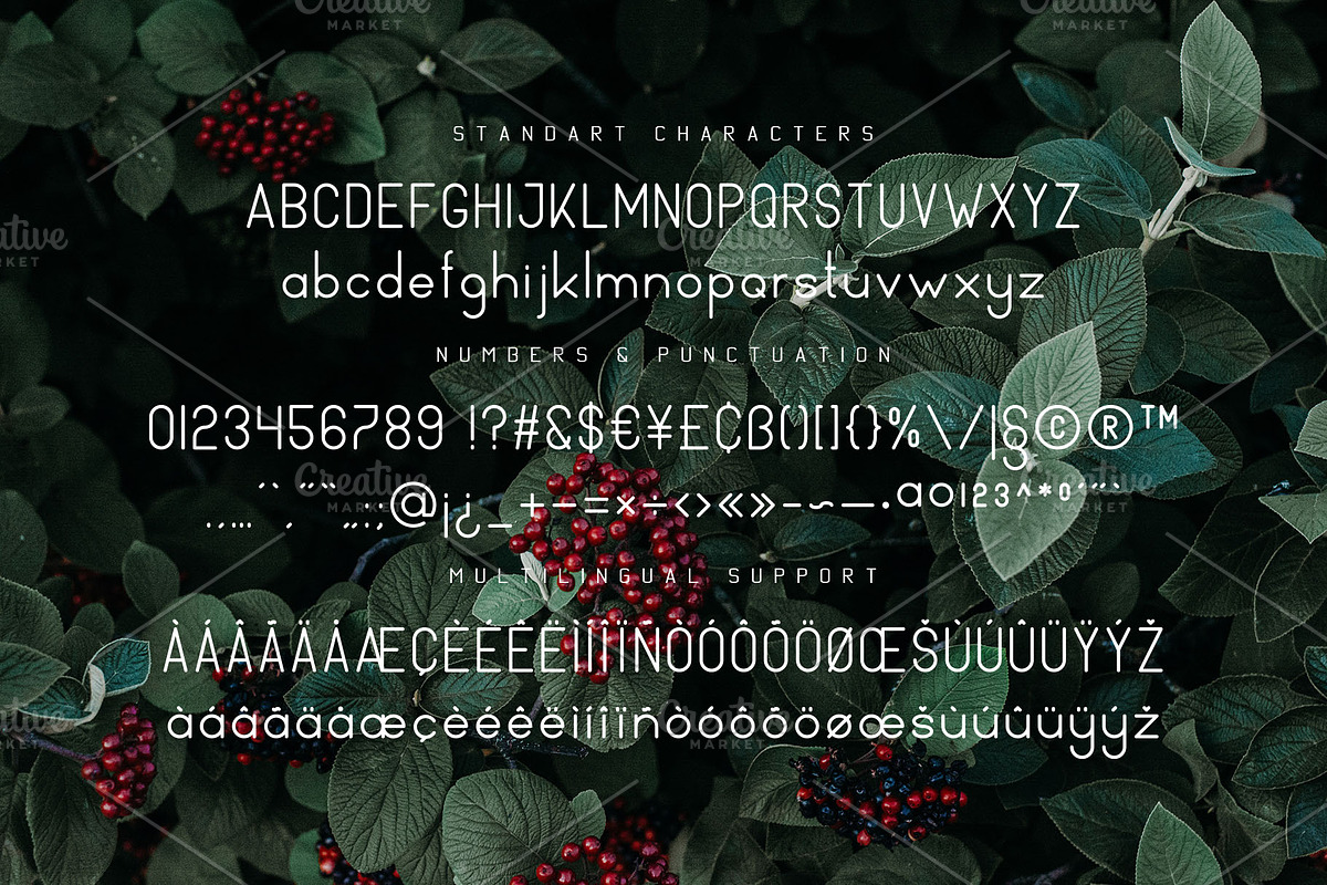 Naturaling Display Font preview 8