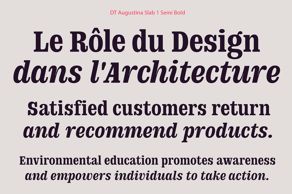 DT Augustina Slab 1 Subfamily, a Slab Serif Font by Deveze Type Foundry (Photo 11 of 31)