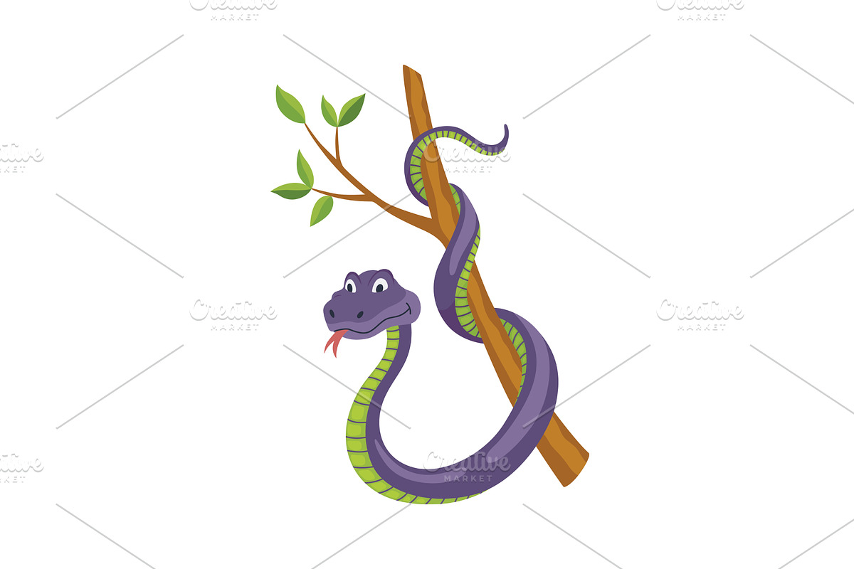 Cartoon color snake. Cute, an Animal Illustration by Things for designers