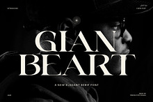 Gian Beart Elegant Serif Font