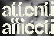 SLTF Refugio - Modern Grotesk Font, a Sans Serif Font by SilverStag Type Foundry (Thumbnail 14 of 30)