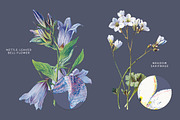 Vintage Flowers Vol.01 - Extra Large, an Illustration by Greta Ivy (Thumbnail 16 of 18)