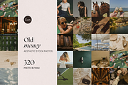 Old Money Stock Photo Bundle, a Beauty & Fashion Photo by The Flossy Finch (Thumbnail 1 of 11)