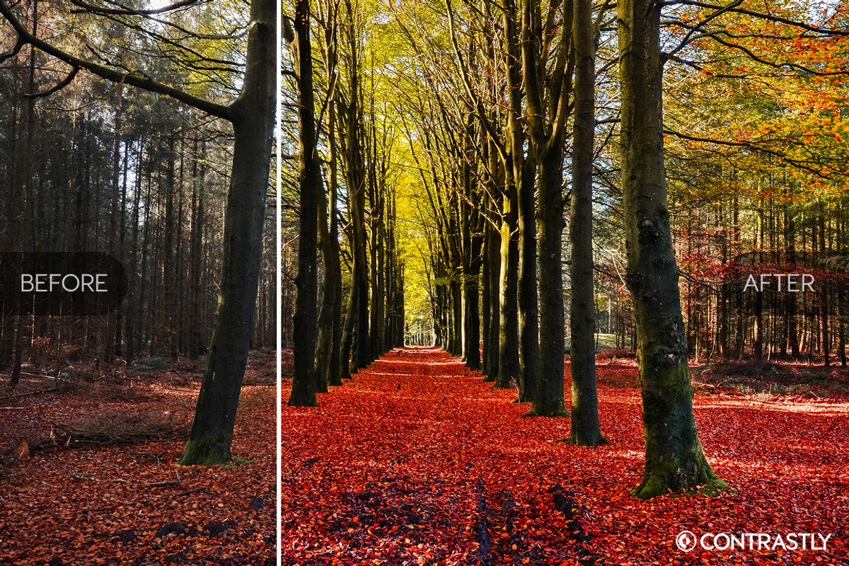 Autumn & Harvest LR Presets Vol.1, an Action Add-On by Contrastly Shop (Photo 4 of 4)