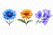 Watercolor Wildflowers Clipart, an Illustration by Dream Creation (Thumbnail 5 of 5)