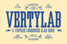 Vertylab