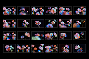 flow. - Abstract Floral Backgrounds, a Background Graphic by Digital Blood (Thumbnail 2 of 9)