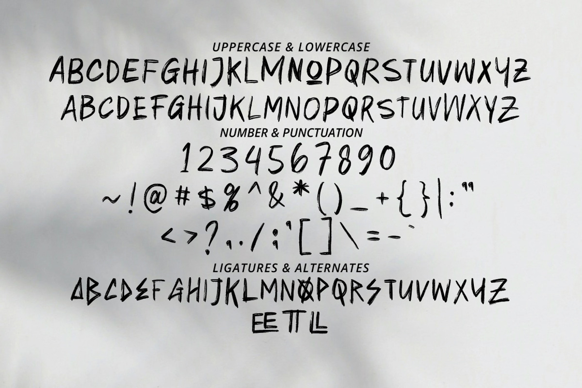 Nopase - Handwritten Brush, a Handwritten Font by tebaltipislab (Photo 9 of 9)