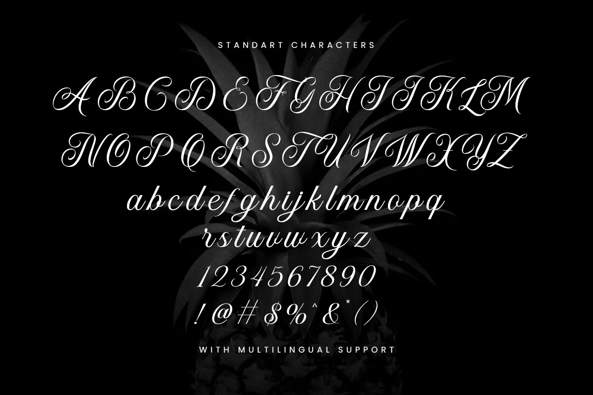 Kalinda, a Script Font by Rillatype (Photo 11 of 12)
