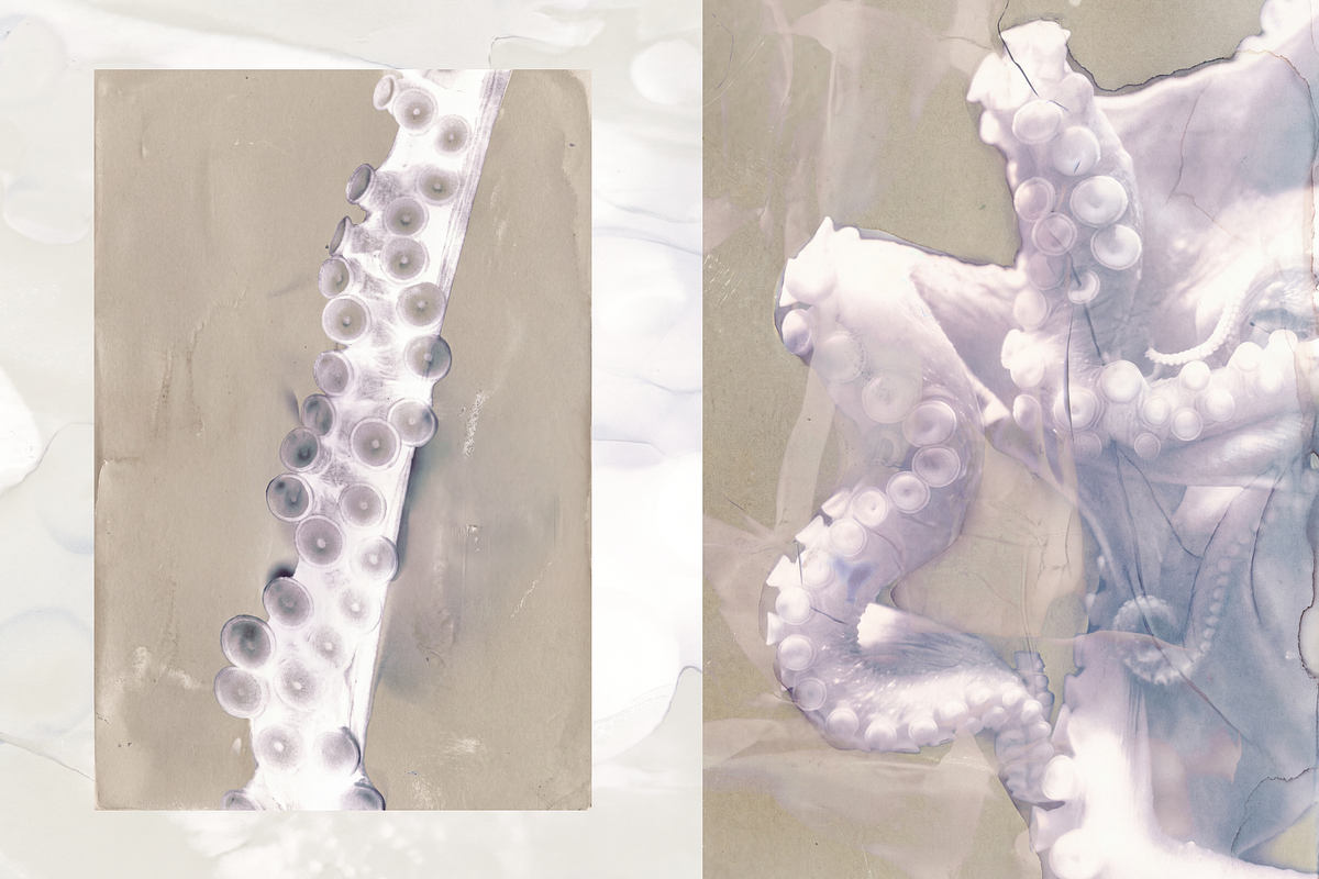 Ethereal Nature Archive Backgrounds, a Background Graphic by Natali Batu (Photo 9 of 9)