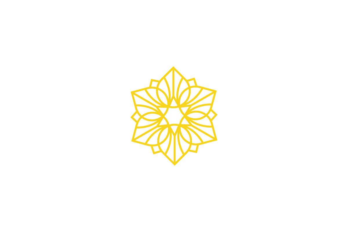 Floral Geometric Mandala Logo Design preview 6