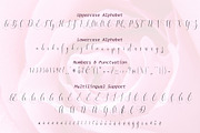 Melamar Calligraphy, a Script Font by Aldedesign (Thumbnail 8 of 11)