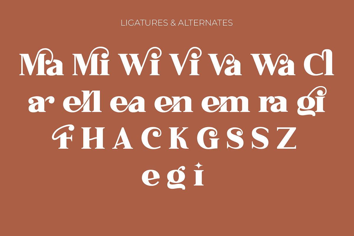 Marionte - Ligature Serif Font, a Serif Font by syabab studio (Photo 8 of 10)