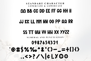 Amellia, a Script Font by FreshTypeINK (Thumbnail 3 of 7)