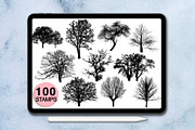 100 procreate tree stamps, a Brush Add-On by Arts For Peace (Thumbnail 3 of 6)