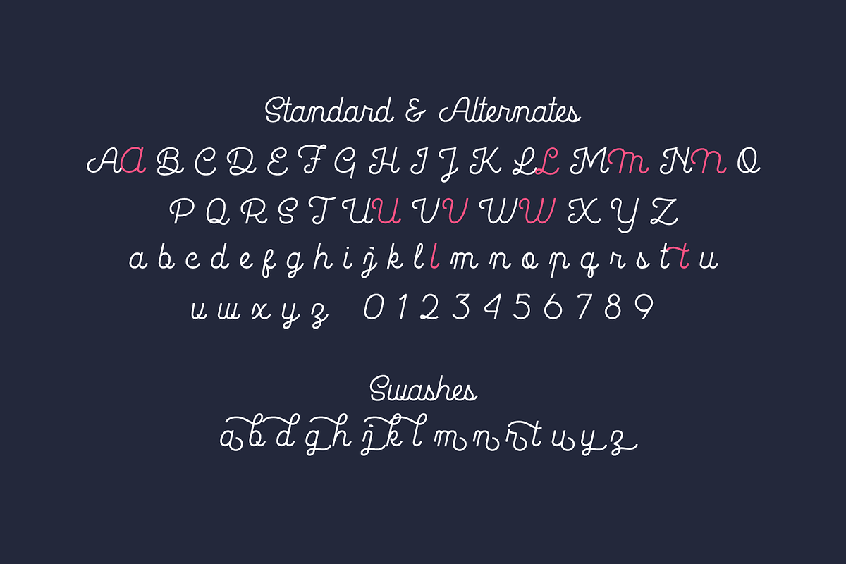 La Patio Script, a Script Font by Nasir Udin (Photo 11 of 12)