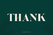 Tashik Modern Serif, a Serif Font by Maryamtype Studio (Thumbnail 7 of 7)