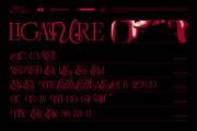 ALICENT HIGHTOWER SERIF DISPLAY, a Serif Font by Tegh co. (Thumbnail 8 of 16)