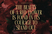 Thores Contrast Serif Font, a Serif Font by Perfectype (Thumbnail 4 of 8)