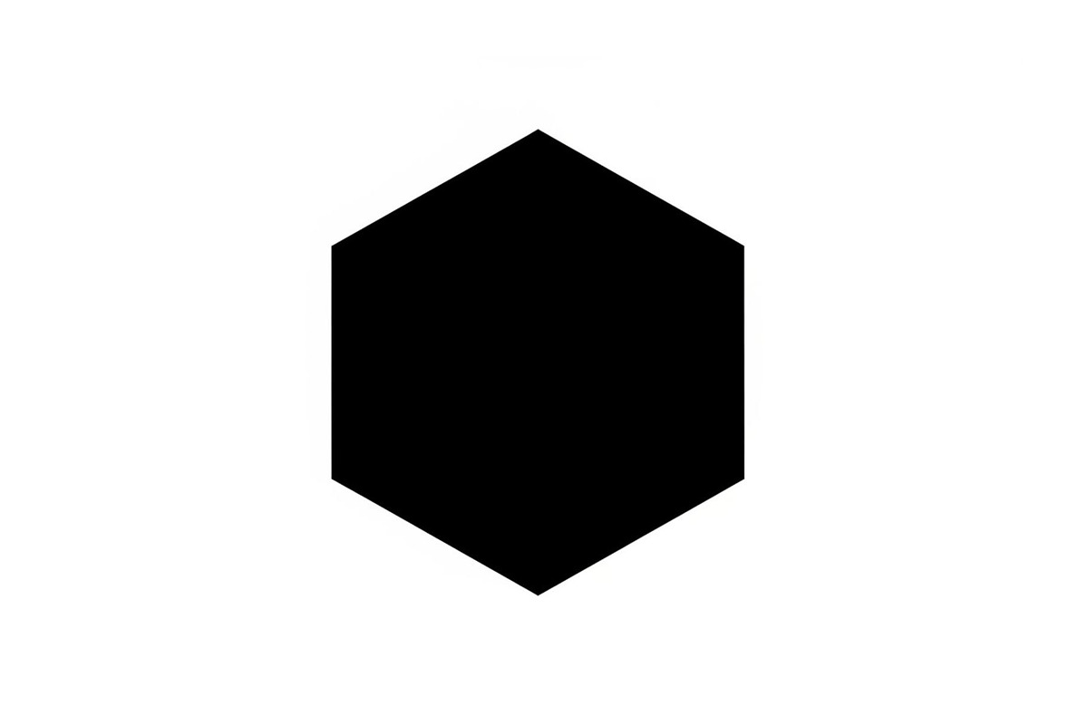 Minimal Hexagon Geometric Logo, an Icon by hafijul (Photo 9 of 10)