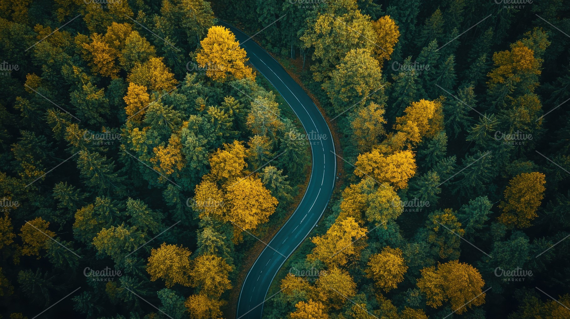 Winding road through autumn forest a, a Photo by Pixeness Studio