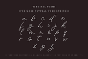 Nocturnus Handwritten Script Font, a Script Font by Up Up Creative (Thumbnail 4 of 15)