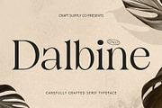 Dalbine – Elegant Font, a Serif Font by Craft Supply Co. (Thumbnail 1 of 8)
