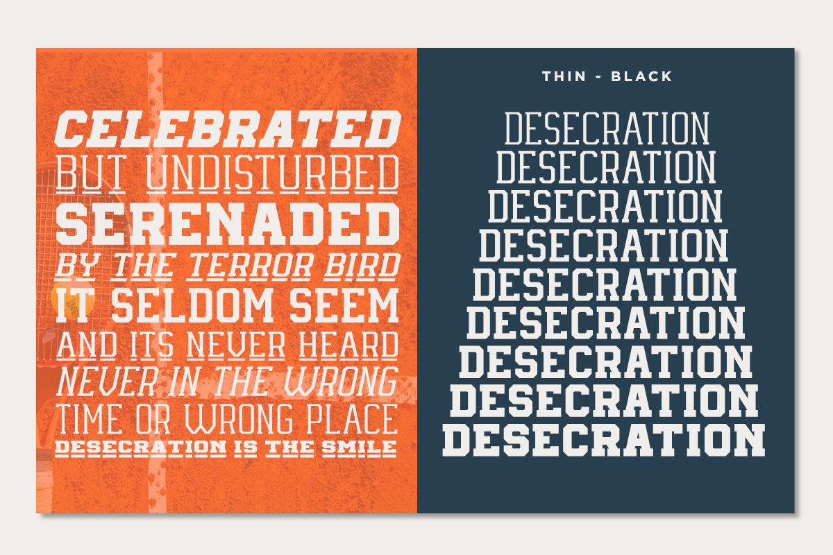 Oud Range - Variable Sport Font, a Slab Serif Font by RagamKata (Photo 3 of 10)