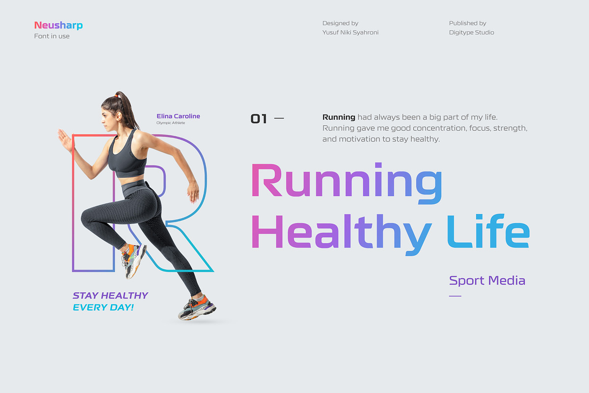Neusharp Complete Family, a Sans Serif Font by Digitype Studio (Photo 5 of 12)
