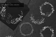 Hand Painted Floral Collection, an Animal Illustration by JSolomatina (Thumbnail 20 of 26)