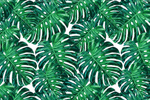Tropical Leaves - Seamless Pattern