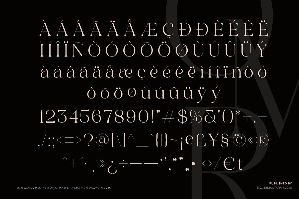 Austerlane; Display Serif Font, a Script Font by Eko Bimantara (Photo 11 of 11)