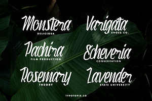 Munich Modern Script Font