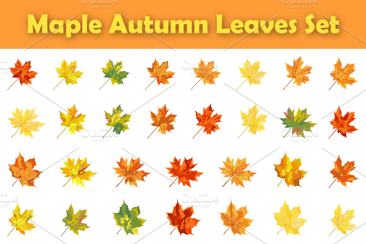Autumn Maple Leaf Set, a Decorative Illustration by Pavel Vectors