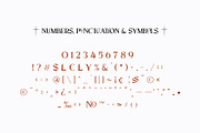 RELIGATH - Serif 316 Ligatures, a Serif Font by Enxyclo Studio (Thumbnail 10 of 11)